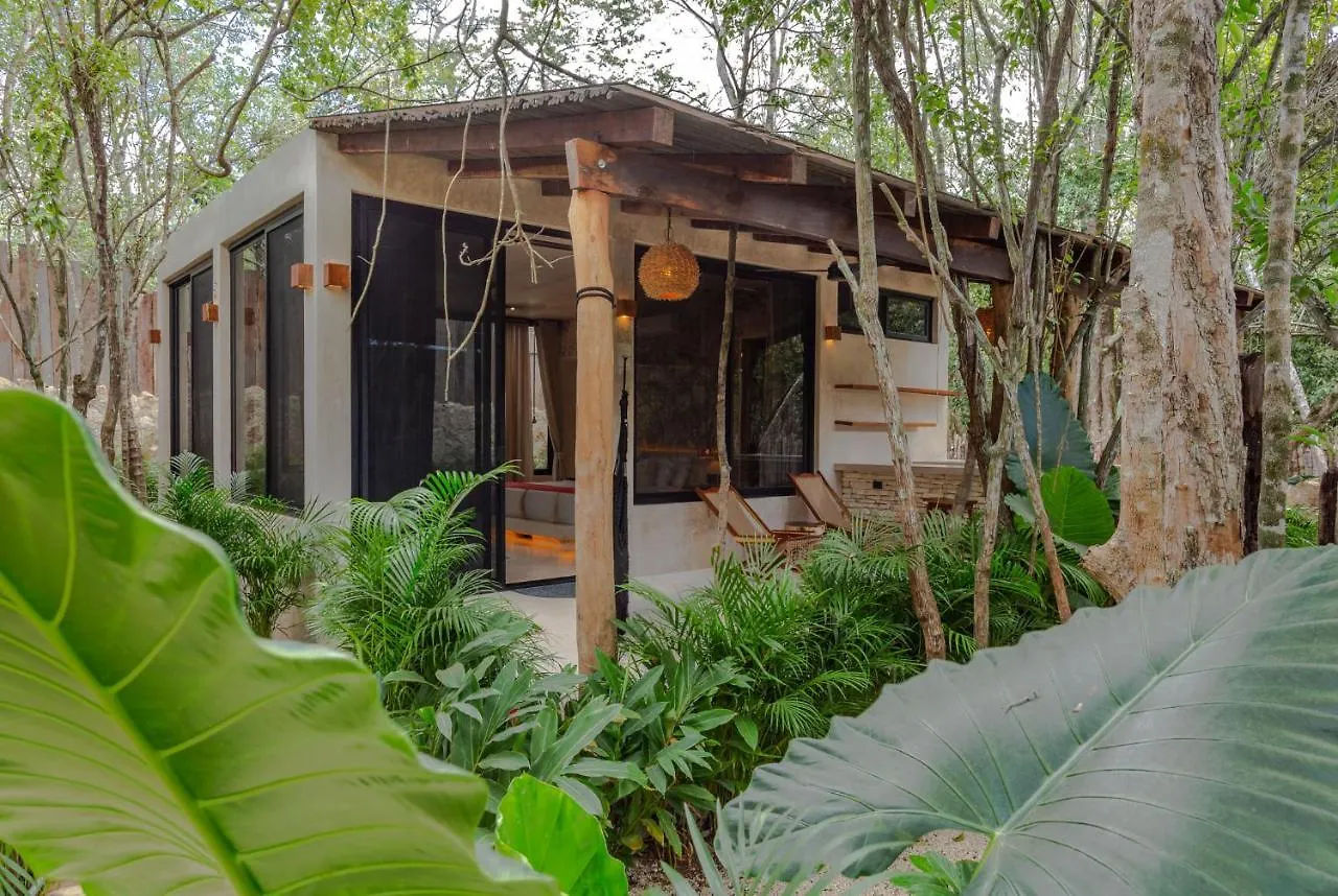 Mayur Tulum
