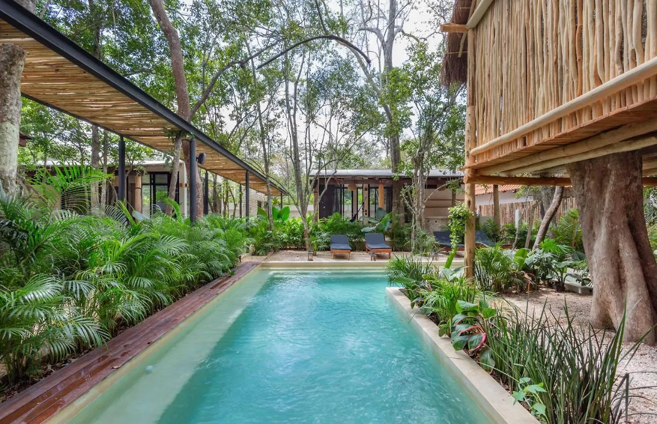 Mayur Tulum