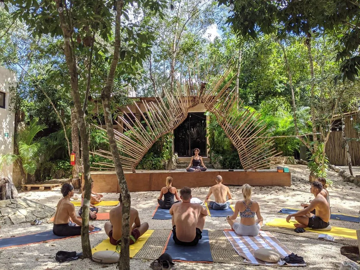 Mayur Tulum 2*,