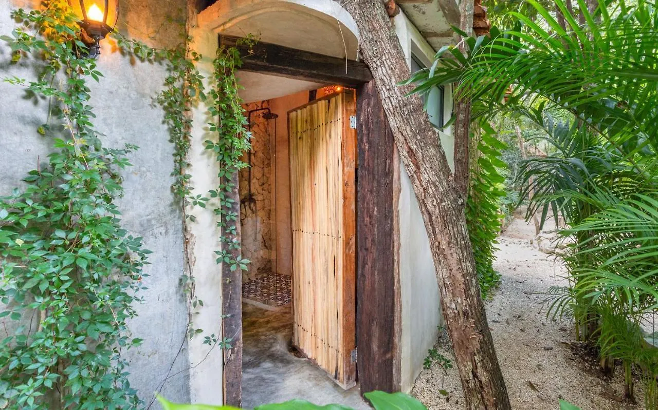 Mayur Tulum